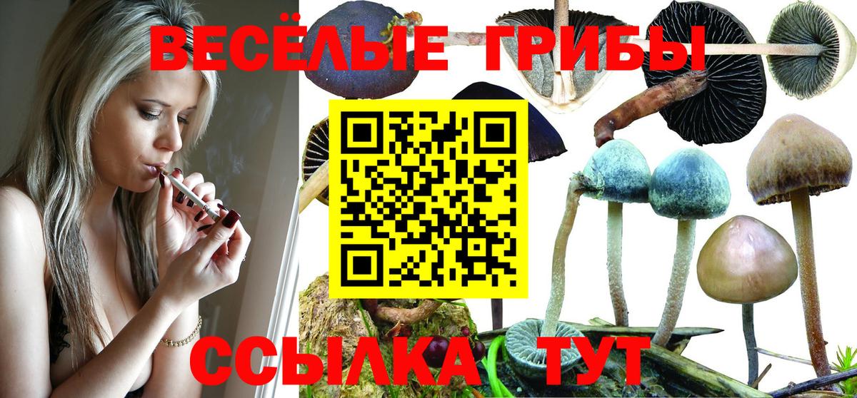 Галлюциногенные грибы прущие грибы Орск